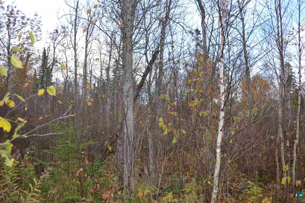 4 Steam Engine Road Lutsen, MN 55612 - Photo 11 of 31