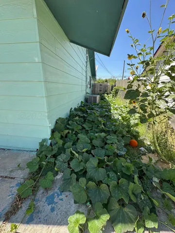 a backyard of a house