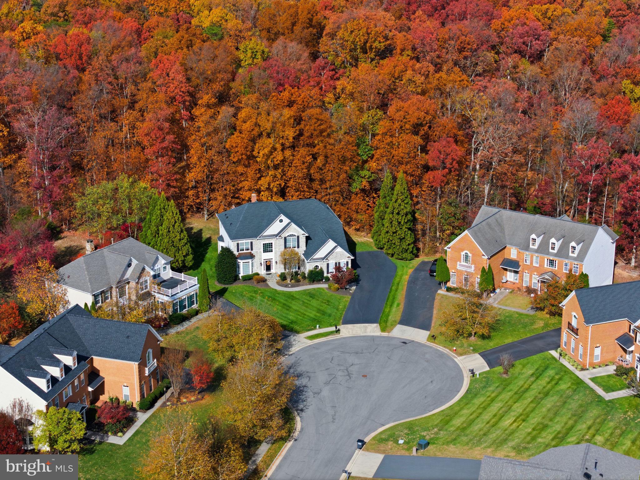 22455 Pine Ridge Court Ashburn, VA 20148 - Photo 3 of 99 Aerial View showcasing the gorgeous Fall setting!