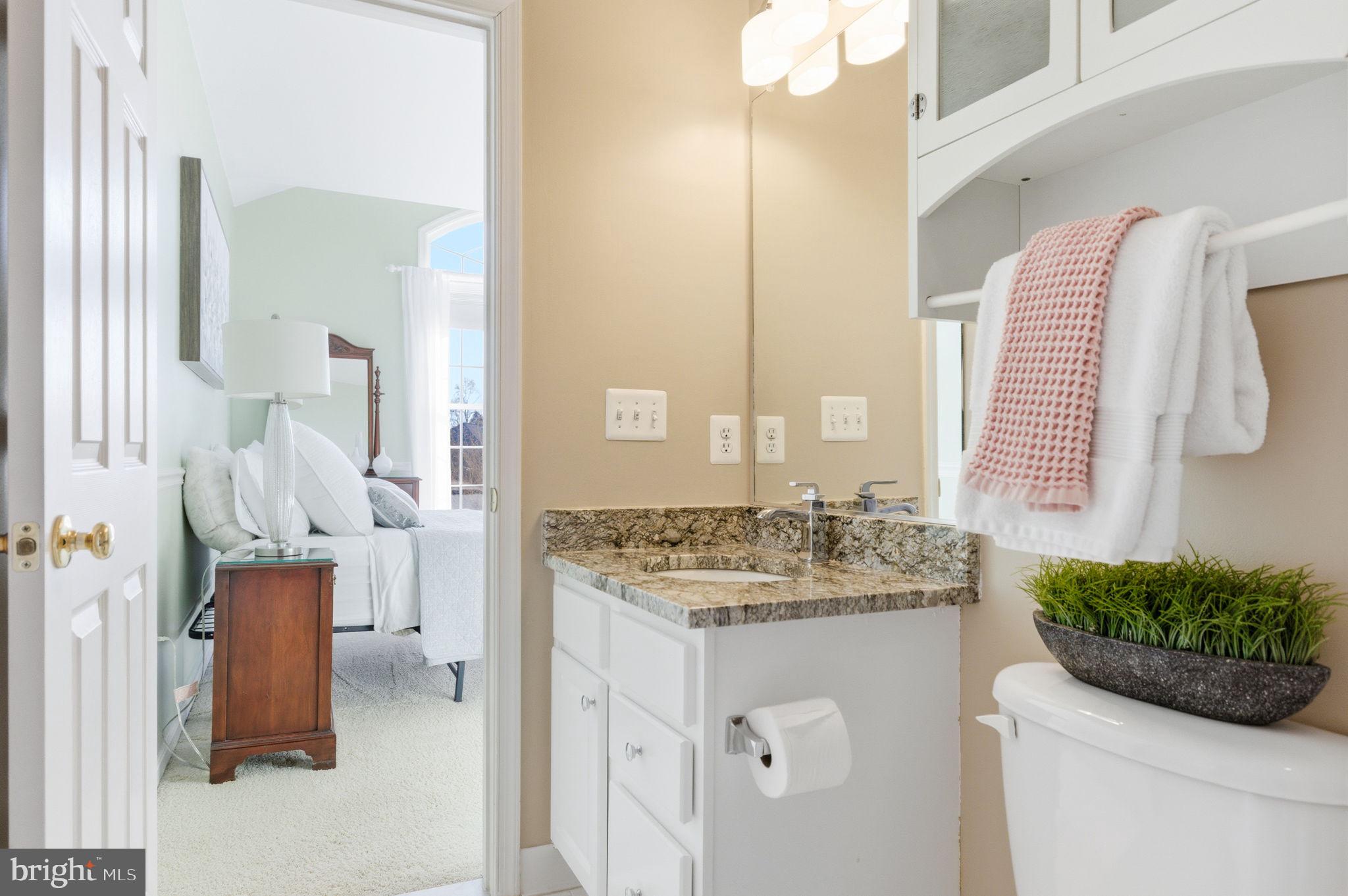 22455 Pine Ridge Court Ashburn, VA 20148 - Photo 49 of 99 Upgraded Countertop