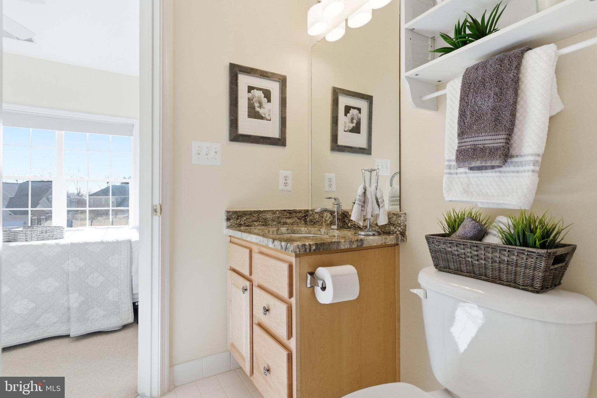 22455 Pine Ridge Court Ashburn, VA 20148 - Photo 53 of 99 Upgraded countertop