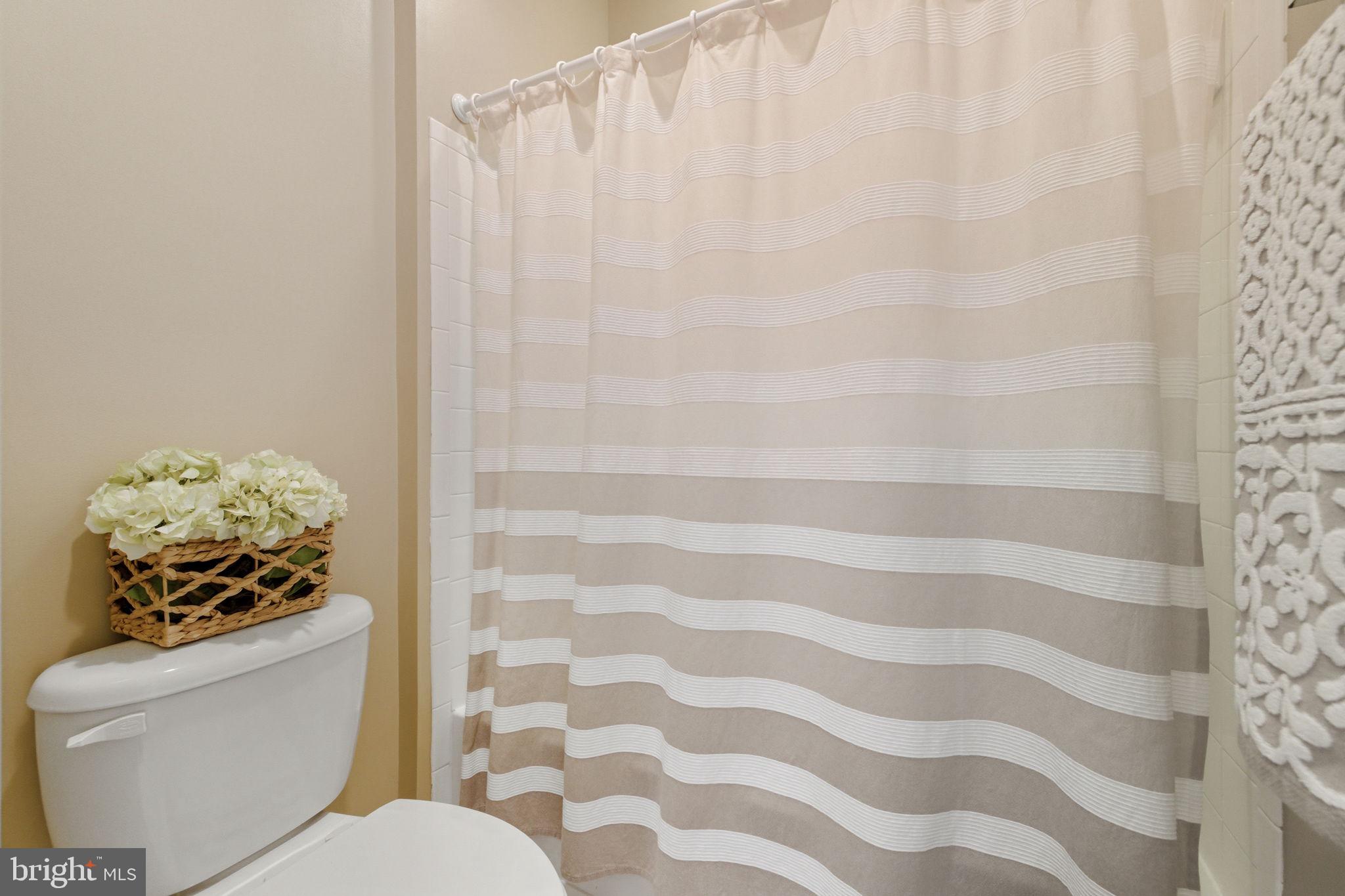 22455 Pine Ridge Court Ashburn, VA 20148 - Photo 57 of 99 Buddy Bath