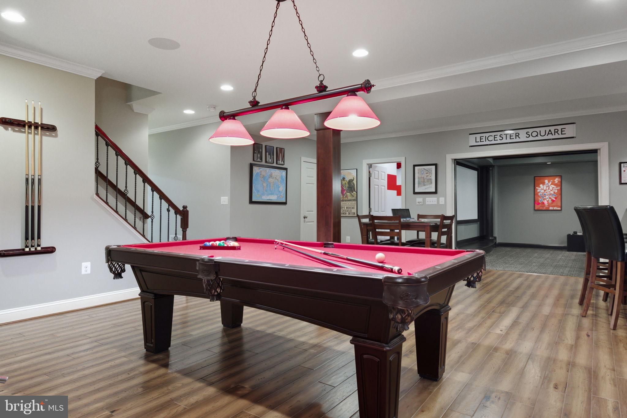 22455 Pine Ridge Court Ashburn, VA 20148 - Photo 63 of 99 Lower Level Fun!!