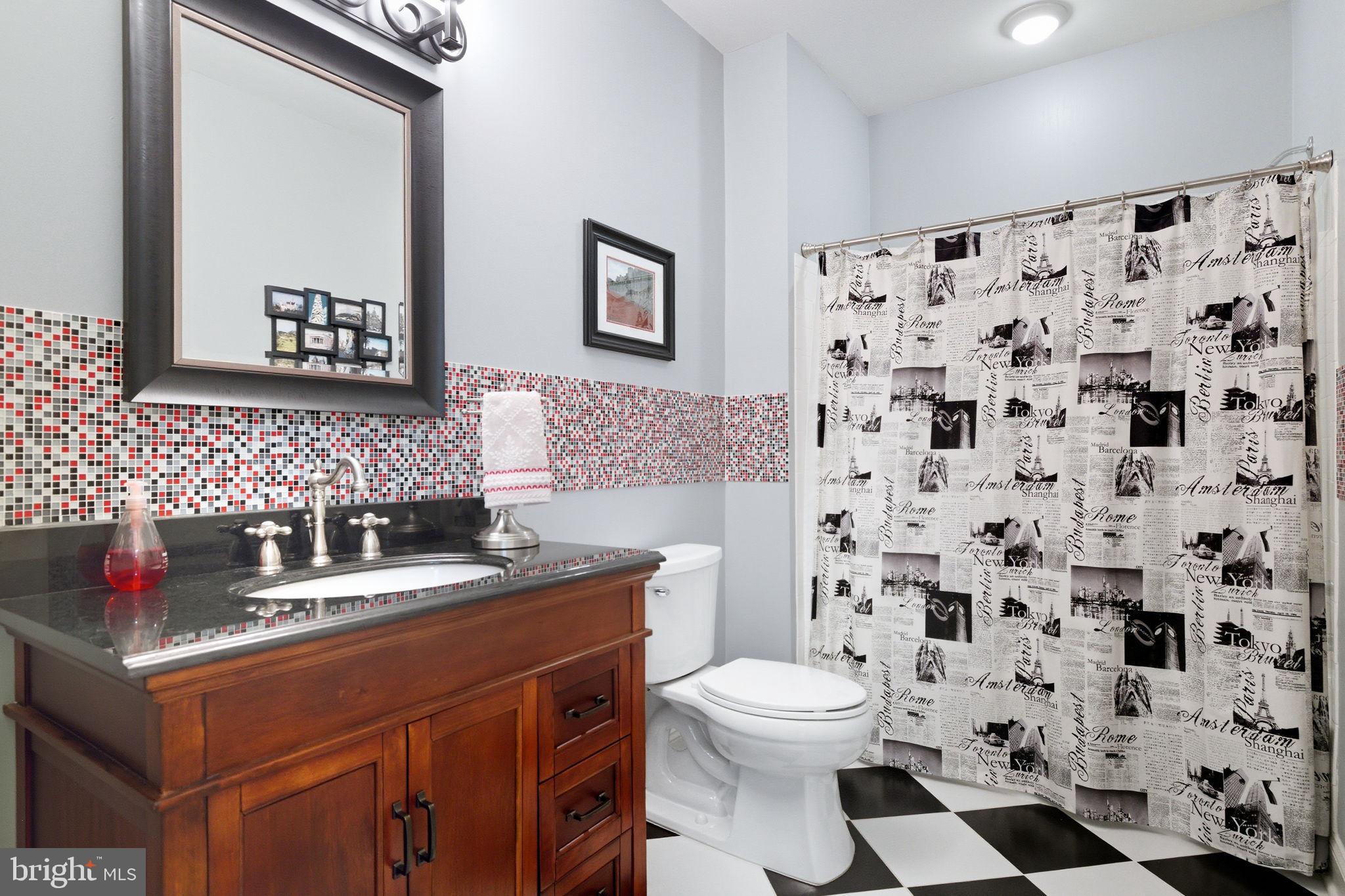 22455 Pine Ridge Court Ashburn, VA 20148 - Photo 78 of 99 Lower Level Full Bathroom