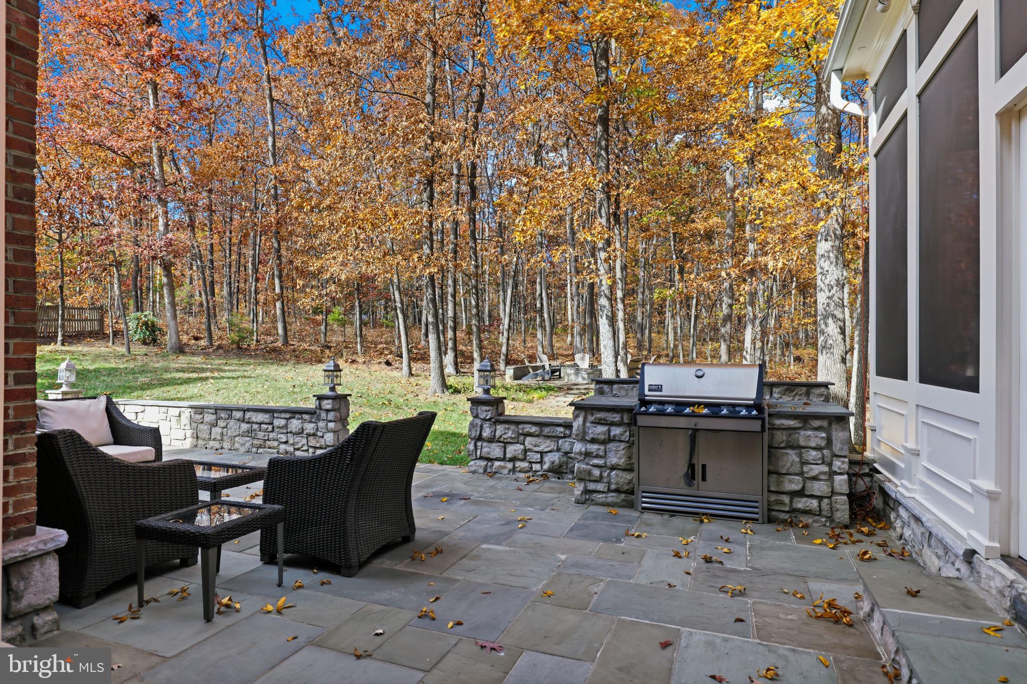 22455 Pine Ridge Court Ashburn, VA 20148 - Photo 86 of 99 Flagstone Patio & Built-in Gas Grill