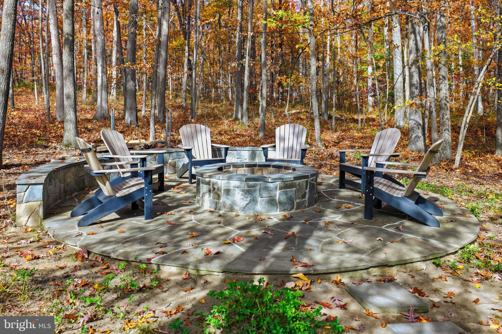 22455 Pine Ridge Court Ashburn, VA 20148 - Photo 88 of 99 Custom Fire Pit