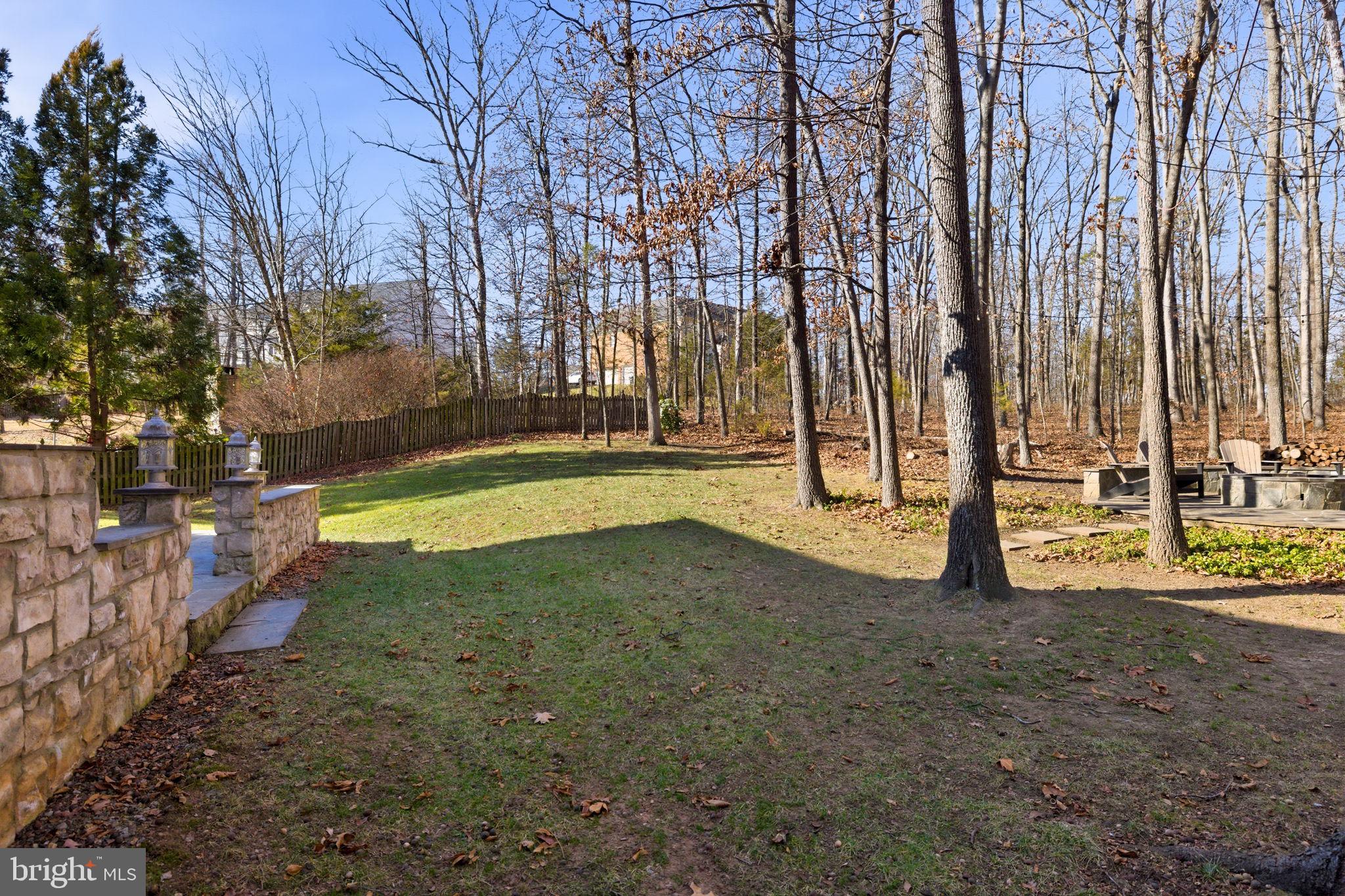 22455 Pine Ridge Court Ashburn, VA 20148 - Photo 91 of 99 Winter Views