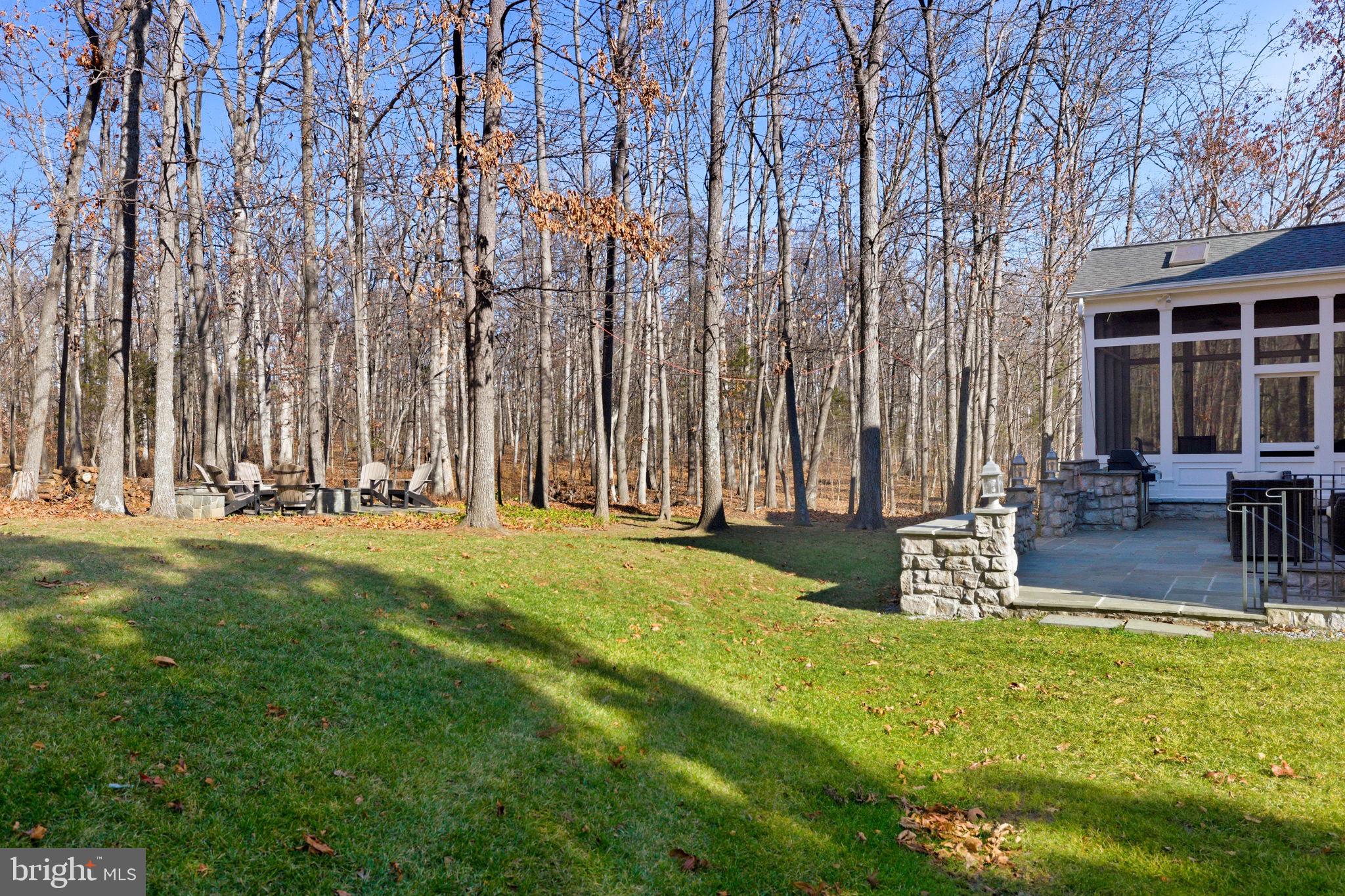 22455 Pine Ridge Court Ashburn, VA 20148 - Photo 92 of 99 Winter Views