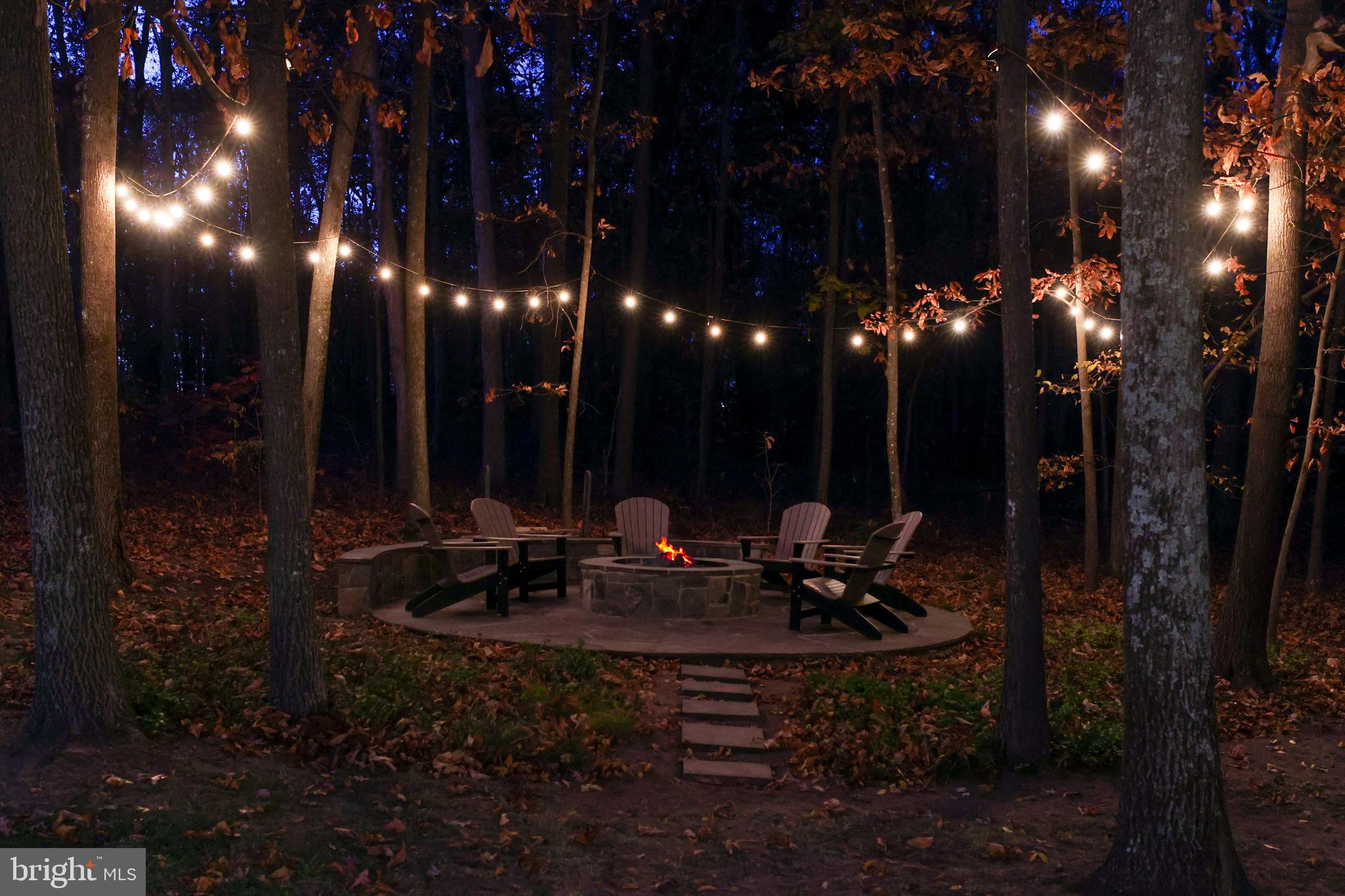 22455 Pine Ridge Court Ashburn, VA 20148 - Photo 99 of 99 Custom Firepit Evening View