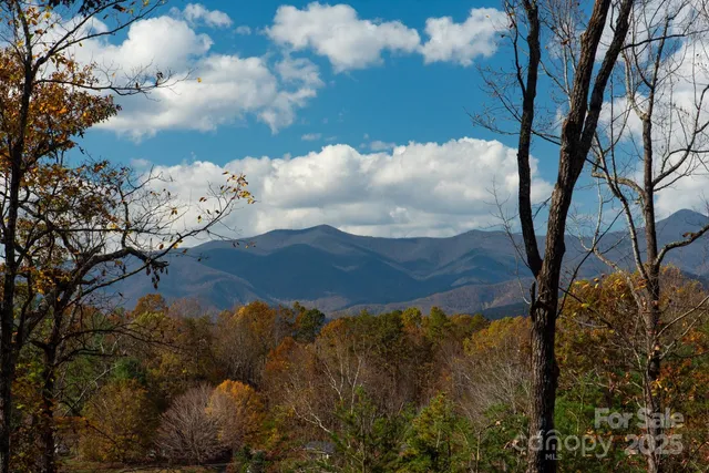 a view of a small yard