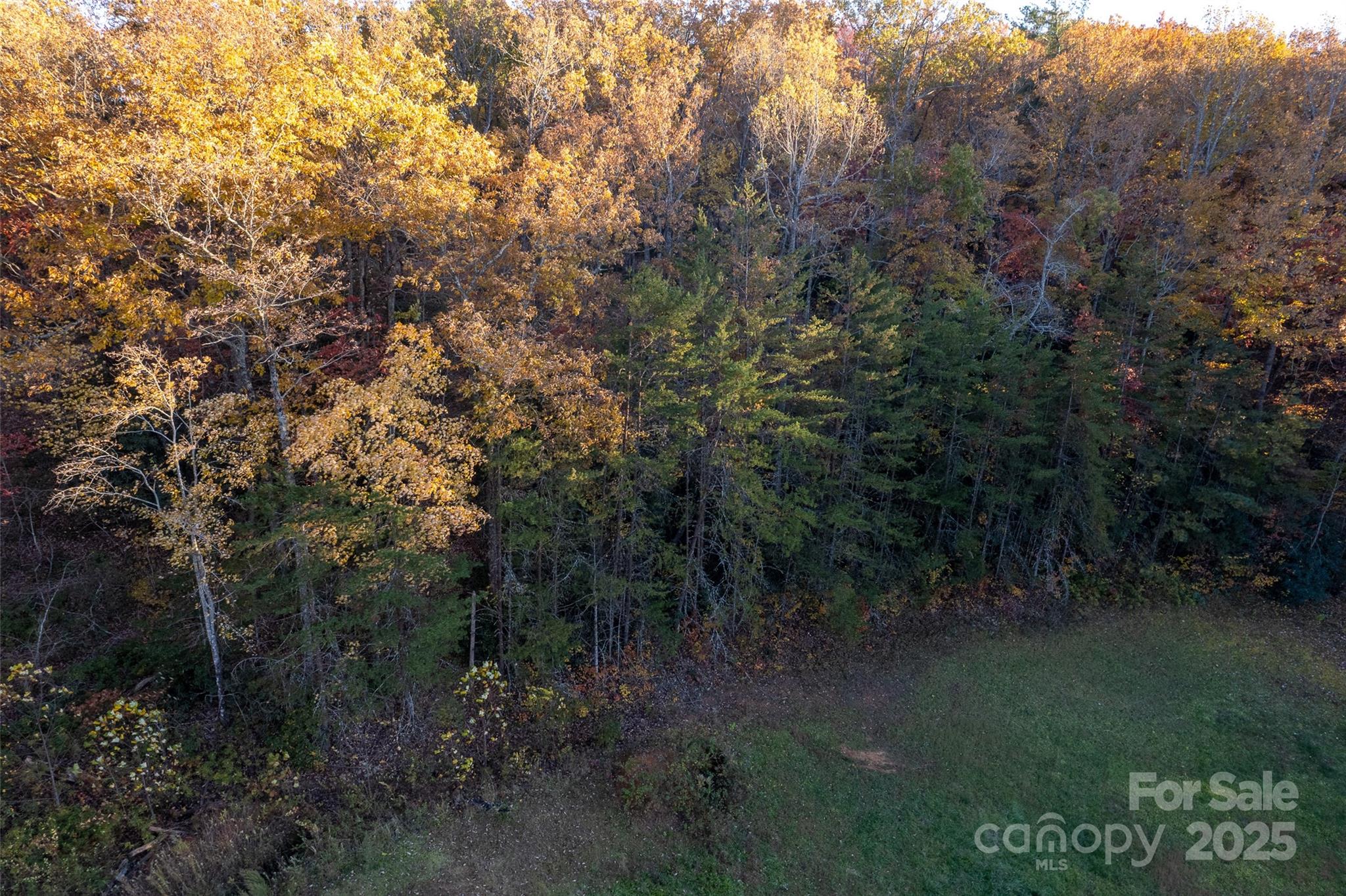 154 South Slope Lane, Unit 18 Old Fort, NC 28762 - Photo 20 of 26 a view of a forest with a yard