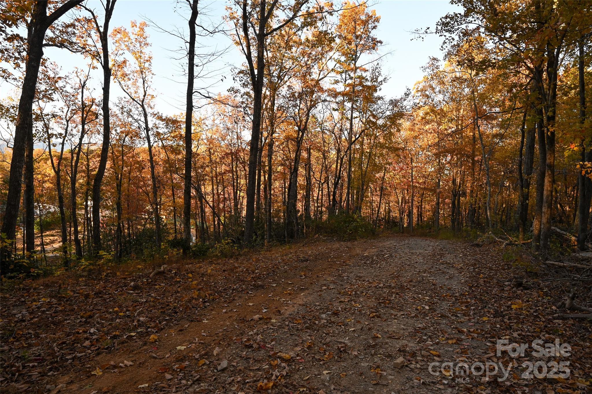 154 South Slope Lane, Unit 18 Old Fort, NC 28762 - Photo 22 of 26 a view of dirt yard with trees
