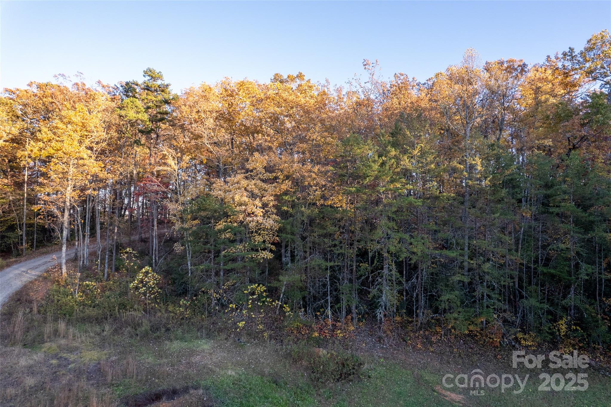 154 South Slope Lane, Unit 18 Old Fort, NC 28762 - Photo 25 of 26 a view of a forest with trees in the background