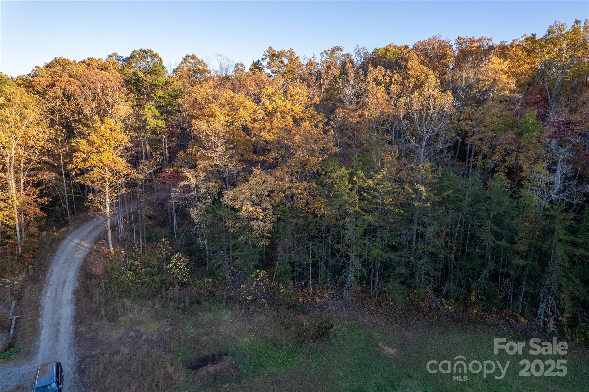 154 South Slope Lane, Unit 18 Old Fort, NC 28762 - Photo 26 of 26 a view of a forest with a yard