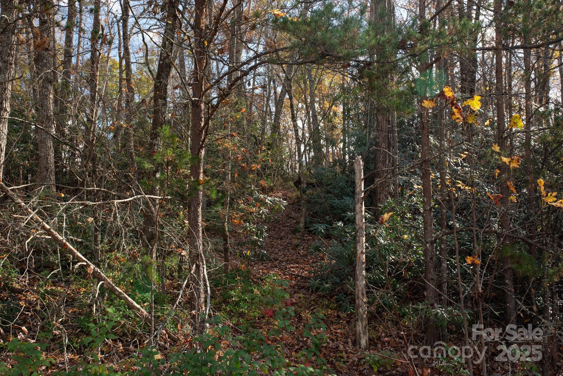 154 South Slope Lane, Unit 18 Old Fort, NC 28762 - Photo 9 of 26 a view of forest