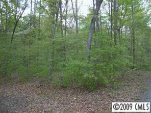 7915 Mill Grove Road Indian Trail, NC 28079 - Photo 3 of 3 a view of a forest with trees in the background
