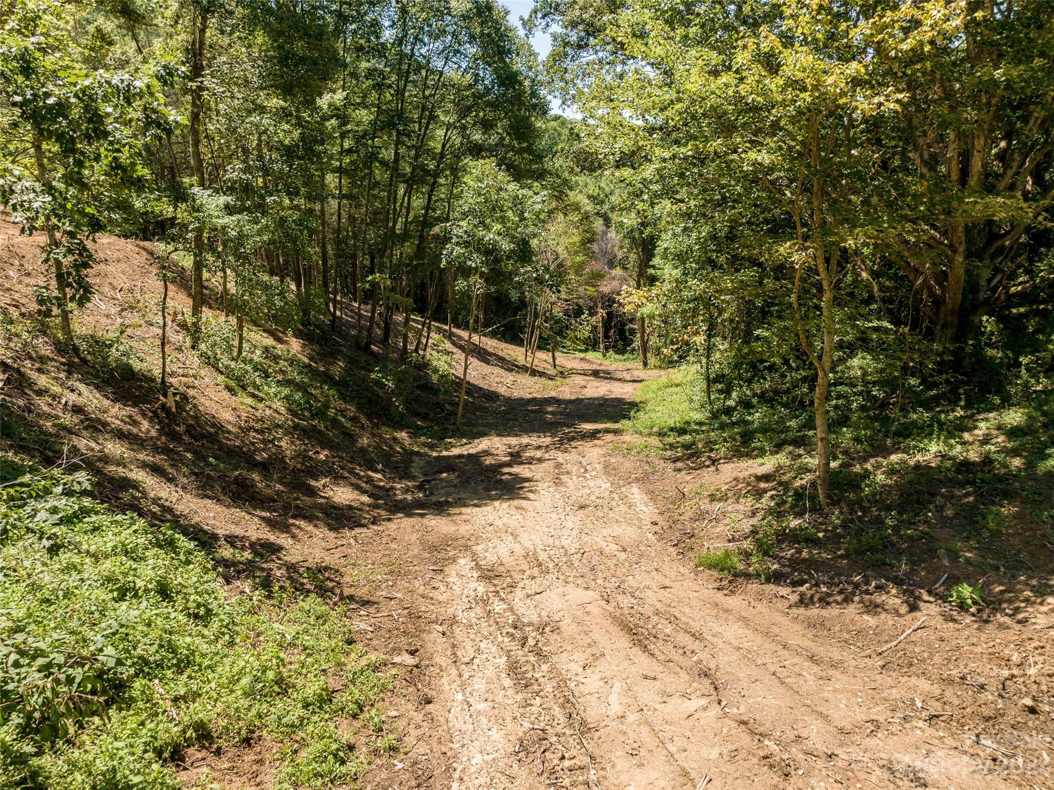 0 Runaway Ridge Clyde, NC 28721 - Photo 12 of 26 a view of a yard with plants and large trees