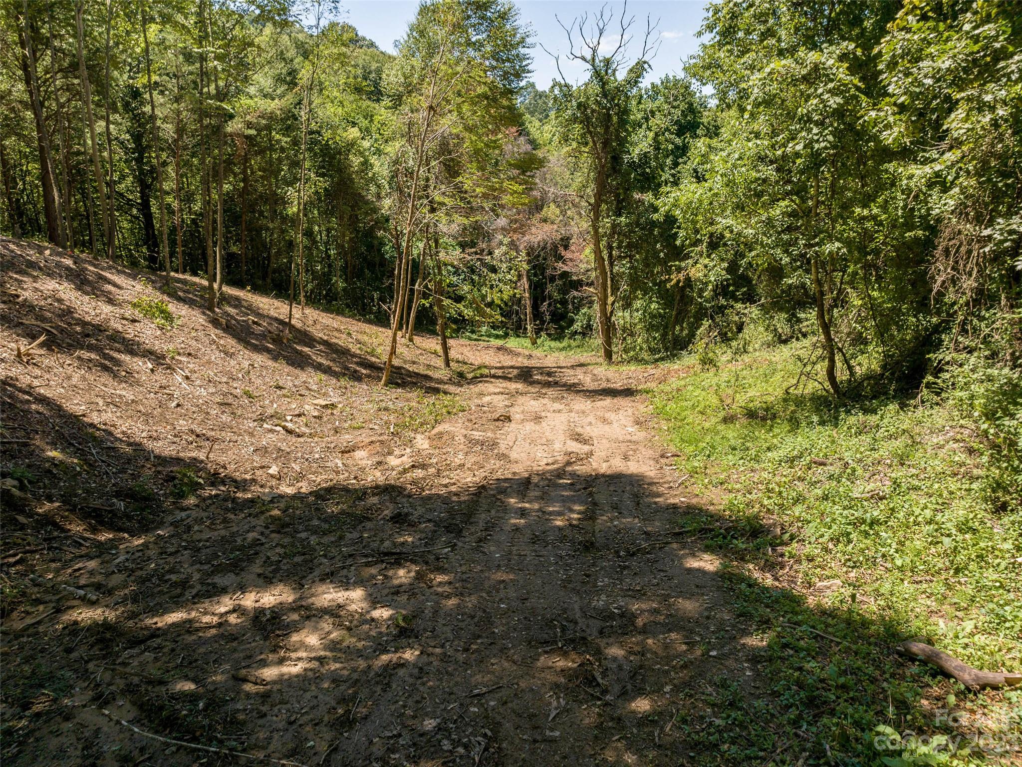0 Runaway Ridge Clyde, NC 28721 - Photo 13 of 26 a view of a yard with plants and trees