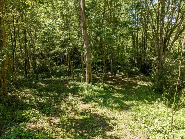 a view of outdoor space and trees