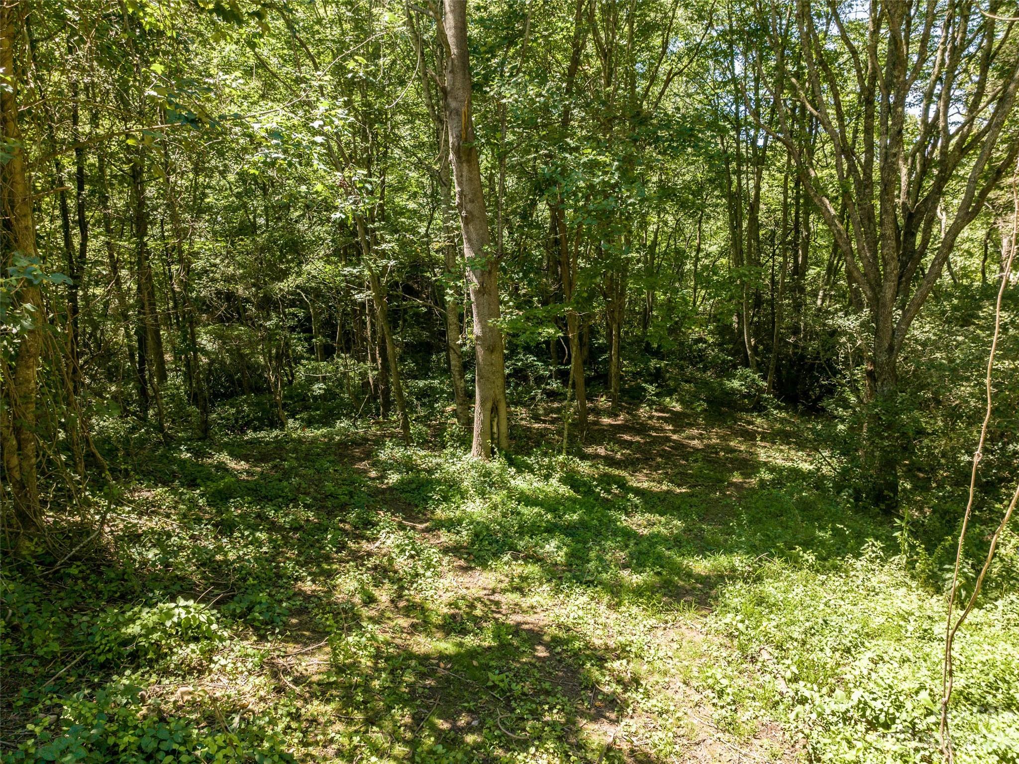 0 Runaway Ridge Clyde, NC 28721 - Photo 14 of 26 a view of outdoor space and trees