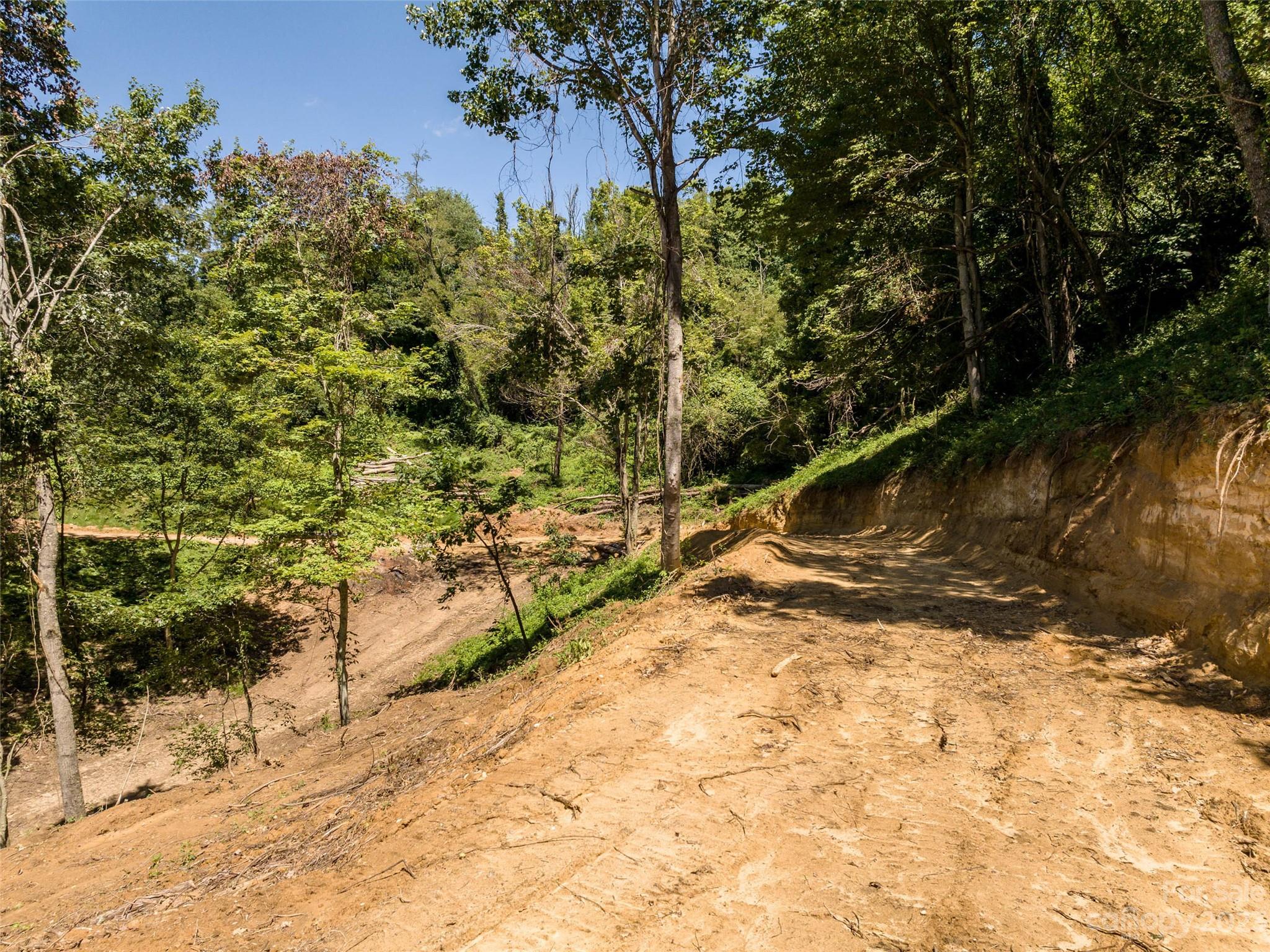 0 Runaway Ridge Clyde, NC 28721 - Photo 16 of 26 a view of a yard with a large tree