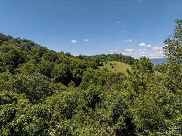 a view of a bunch of trees