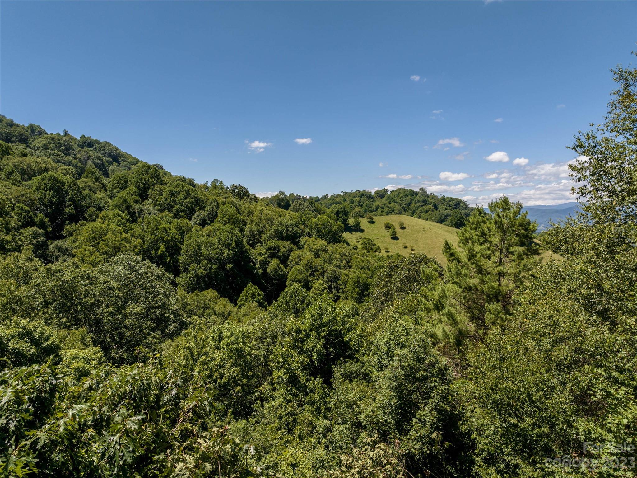 0 Runaway Ridge Clyde, NC 28721 - Photo 17 of 26 a view of a bunch of trees