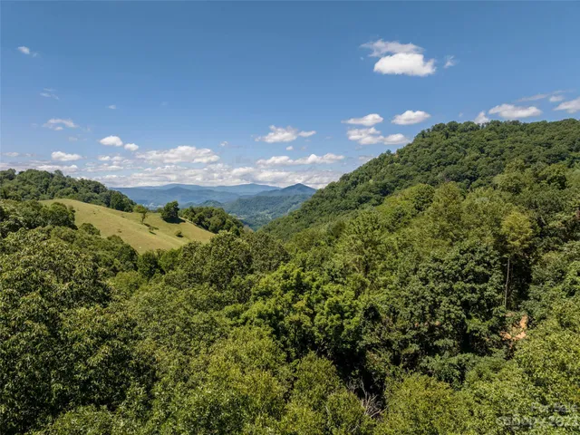a view of a big yard