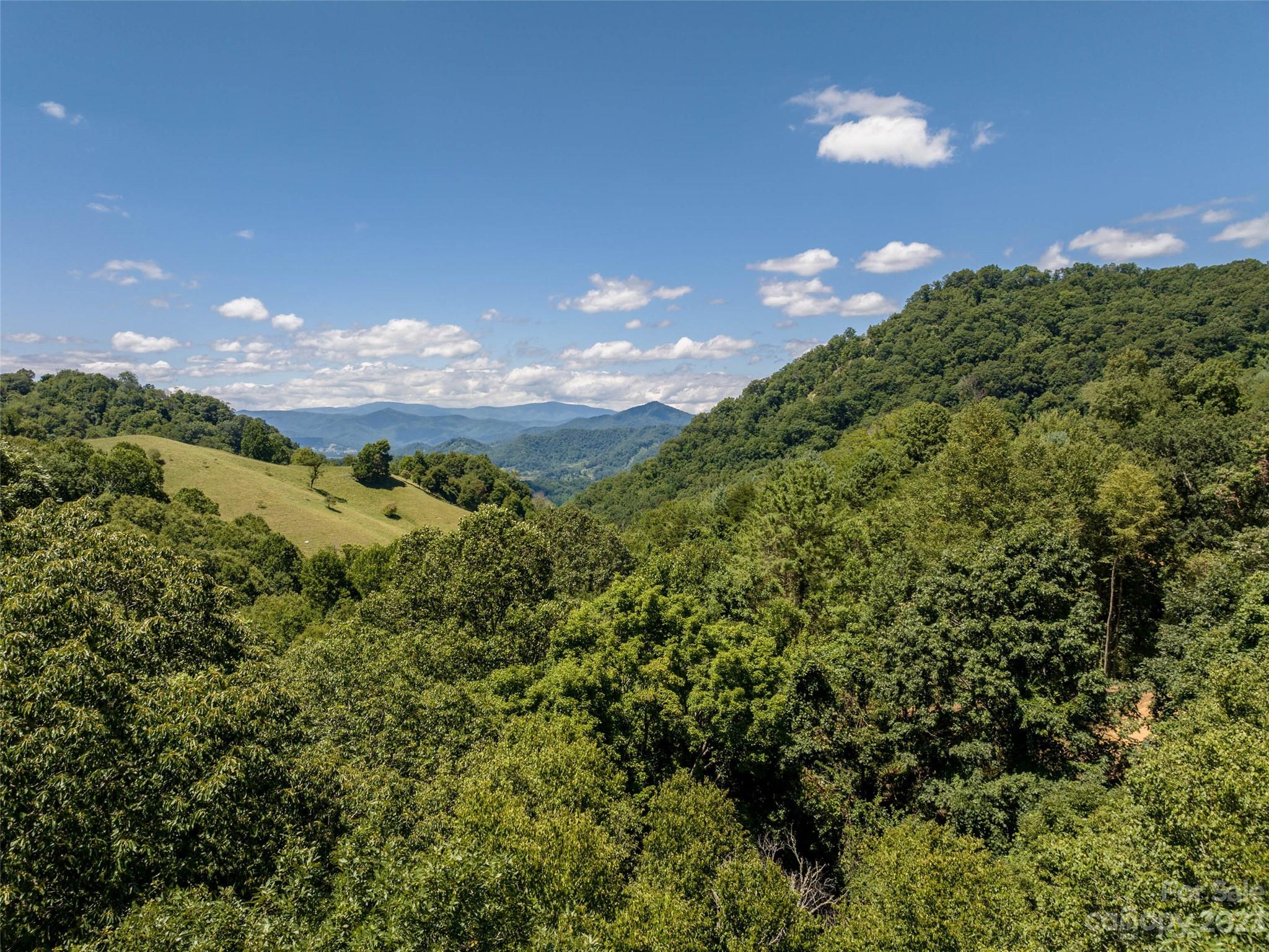 0 Runaway Ridge Clyde, NC 28721 - Photo 18 of 26 a view of a big yard