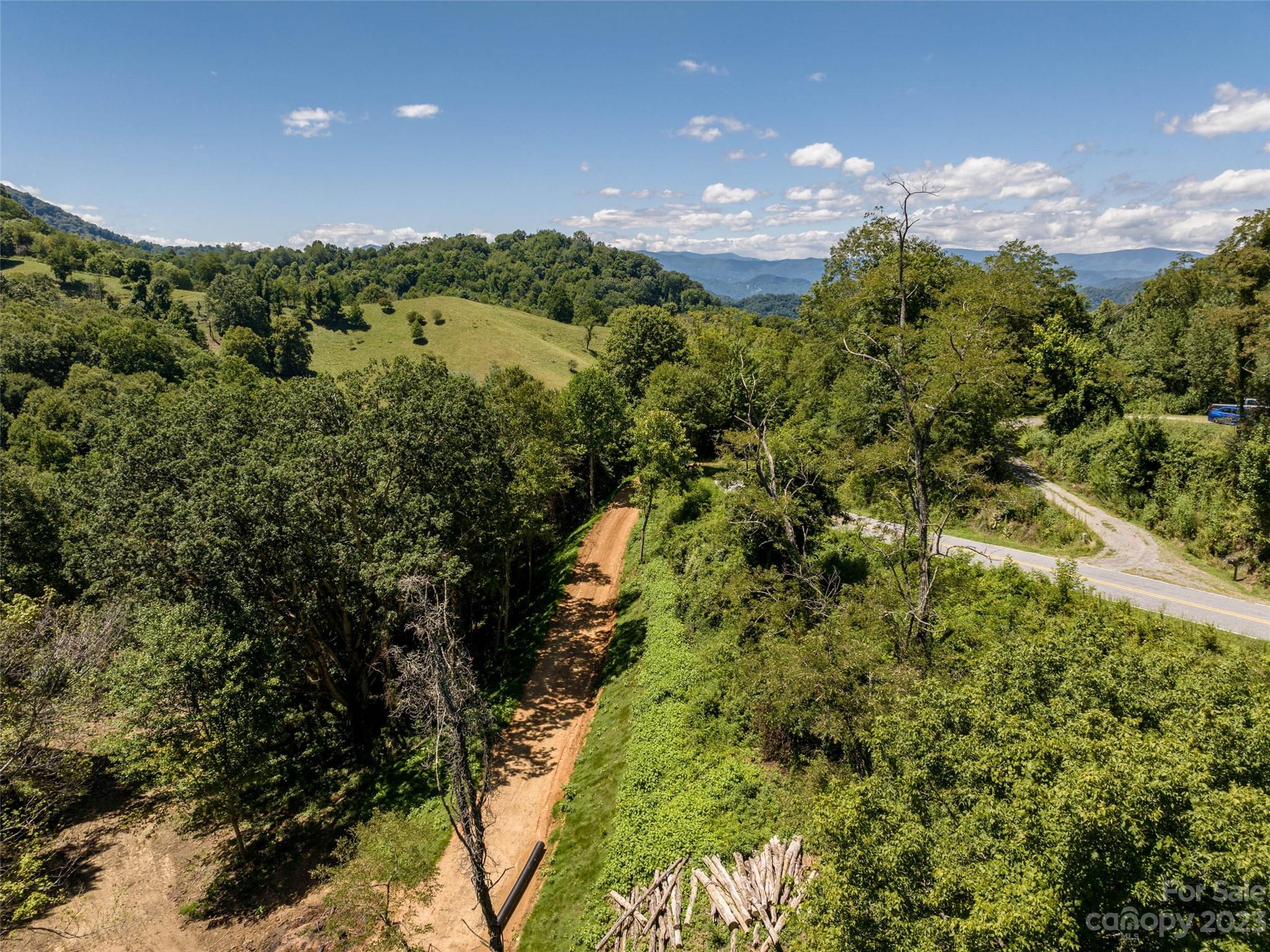0 Runaway Ridge Clyde, NC 28721 - Photo 19 of 26 a view of a garden