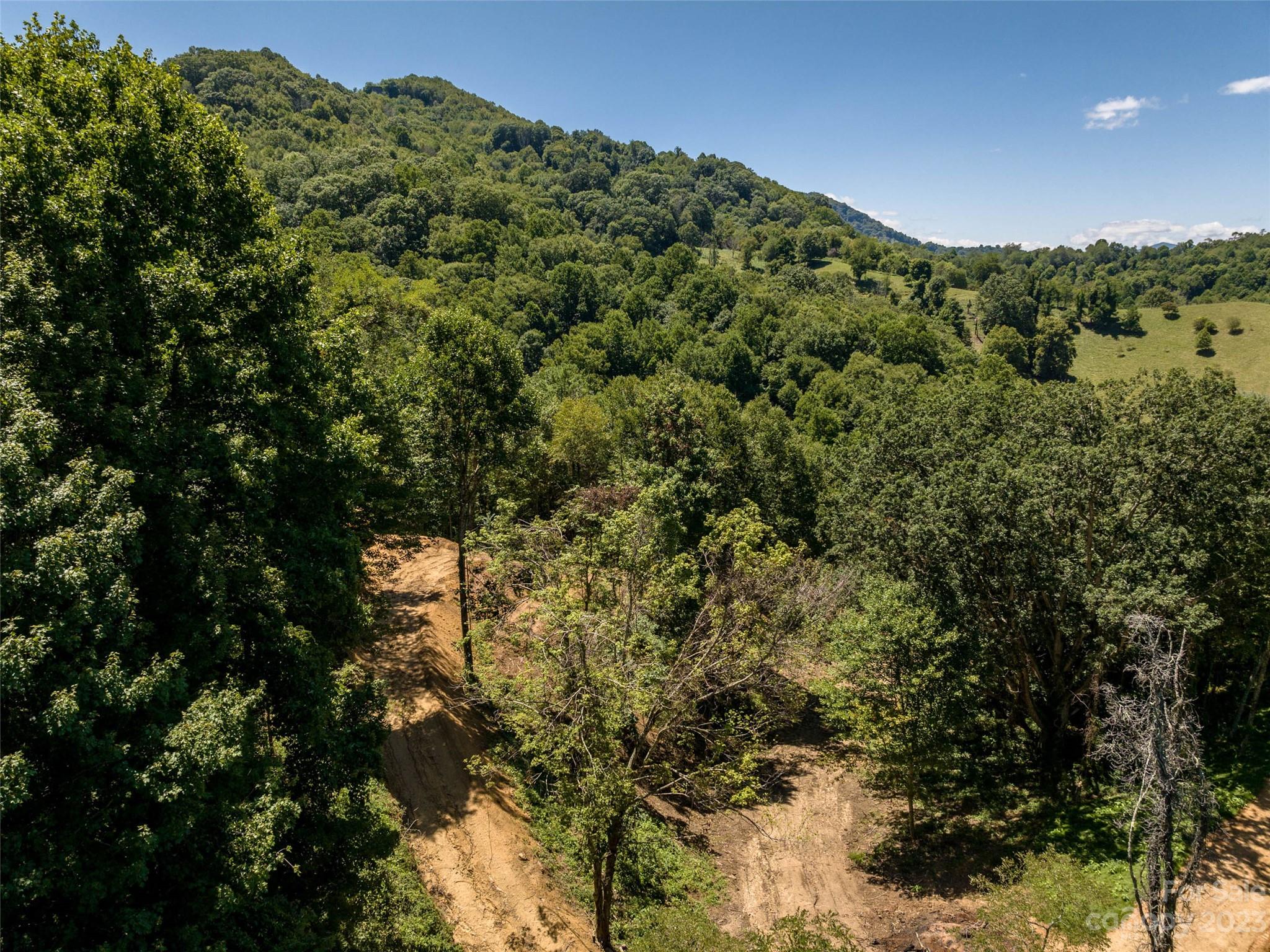 0 Runaway Ridge Clyde, NC 28721 - Photo 20 of 26 a view of a large tree