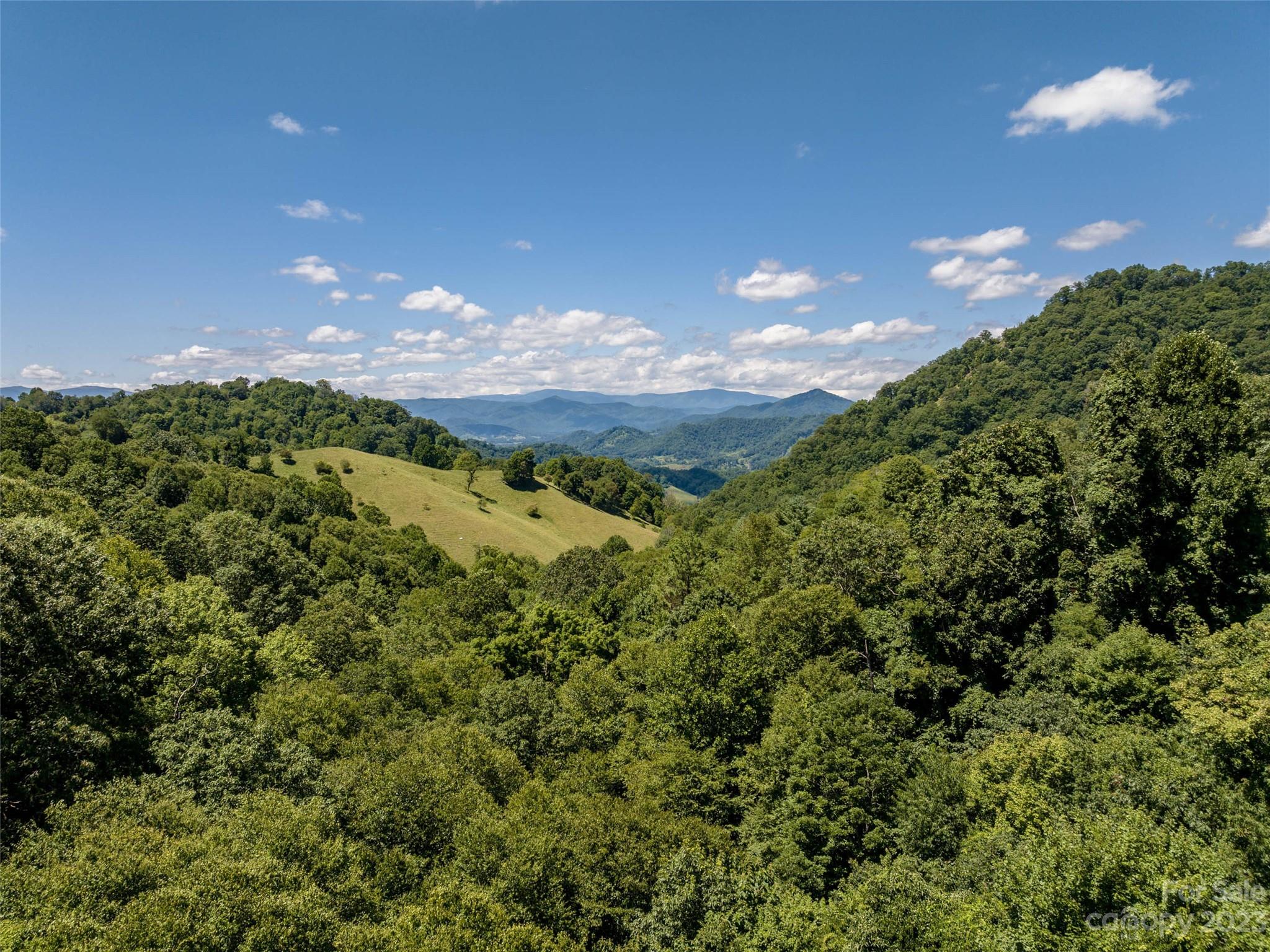 0 Runaway Ridge Clyde, NC 28721 - Photo 21 of 26 a view of a big yard with lots of green space