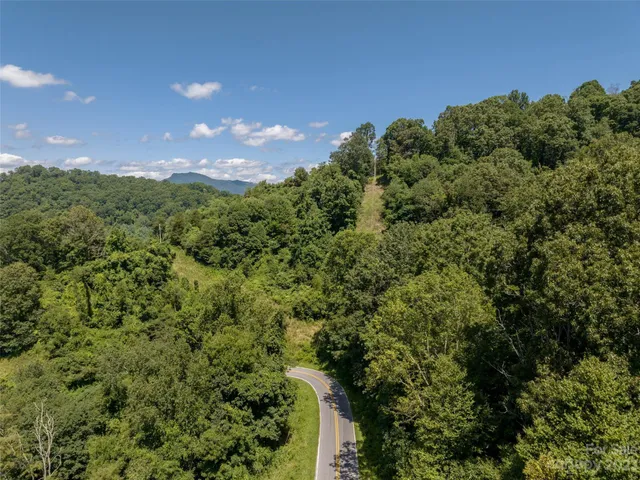 a view of a city with lush green forest