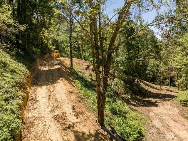 a view of outdoor space and trees
