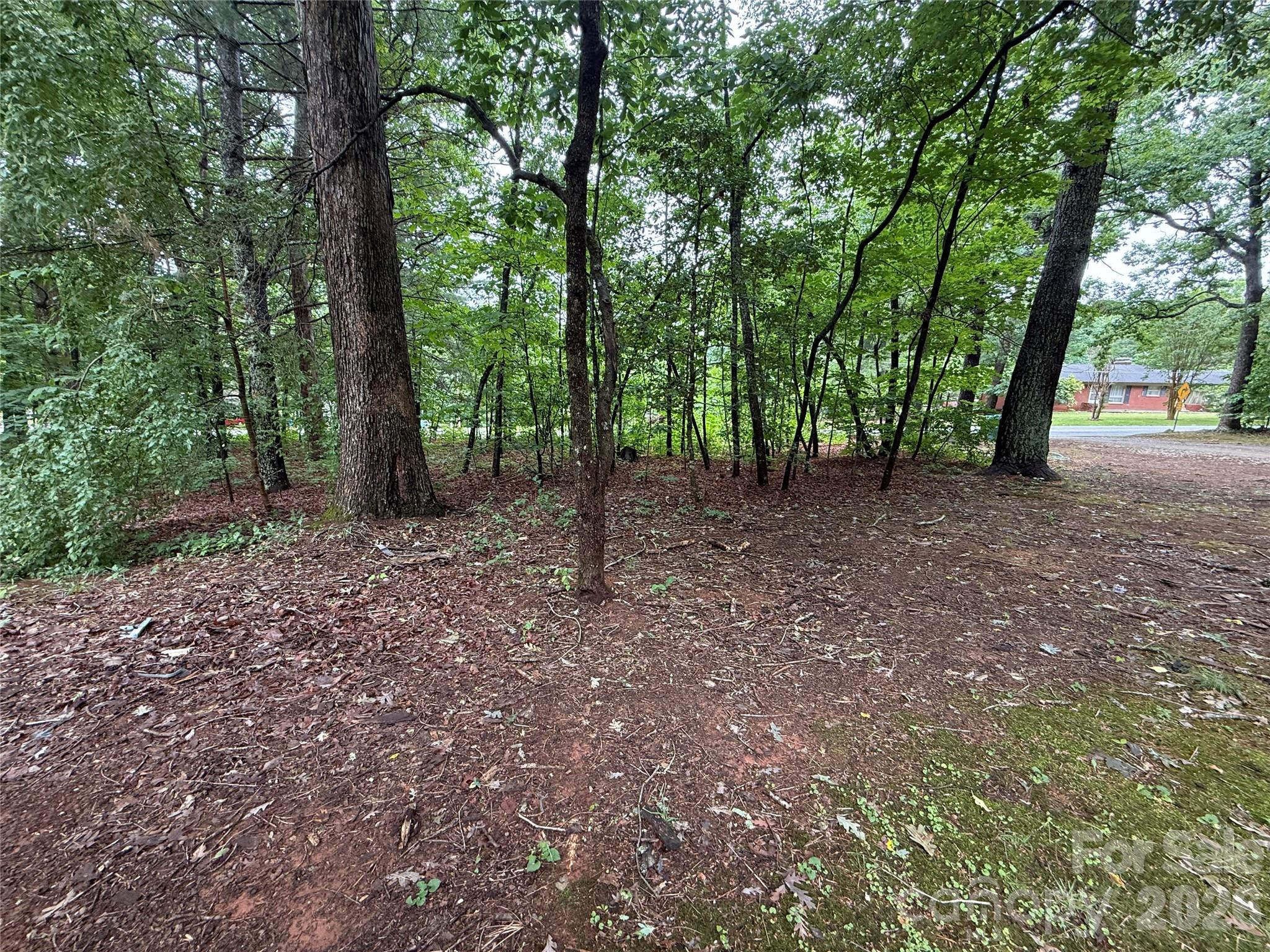 580 Legion Road Lenoir, NC 28645 - Photo 5 of 22 a view of outdoor space and tree