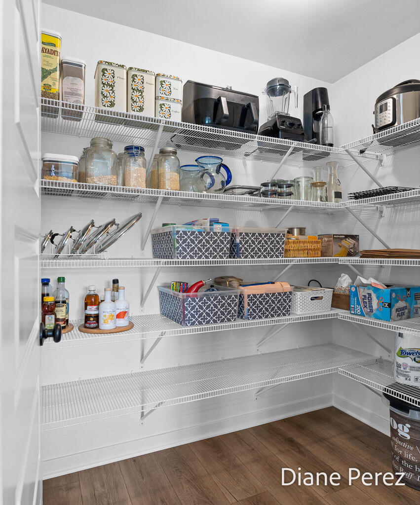 1624 Harding Street Holland, MI 49423 - Photo 6 of 42 Harding HM Pantry