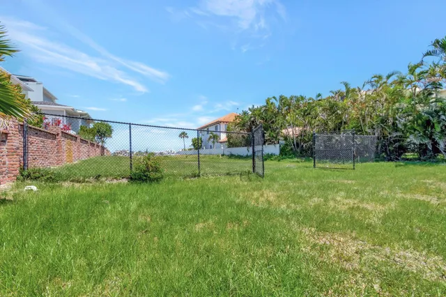 a view of a tree in a yard