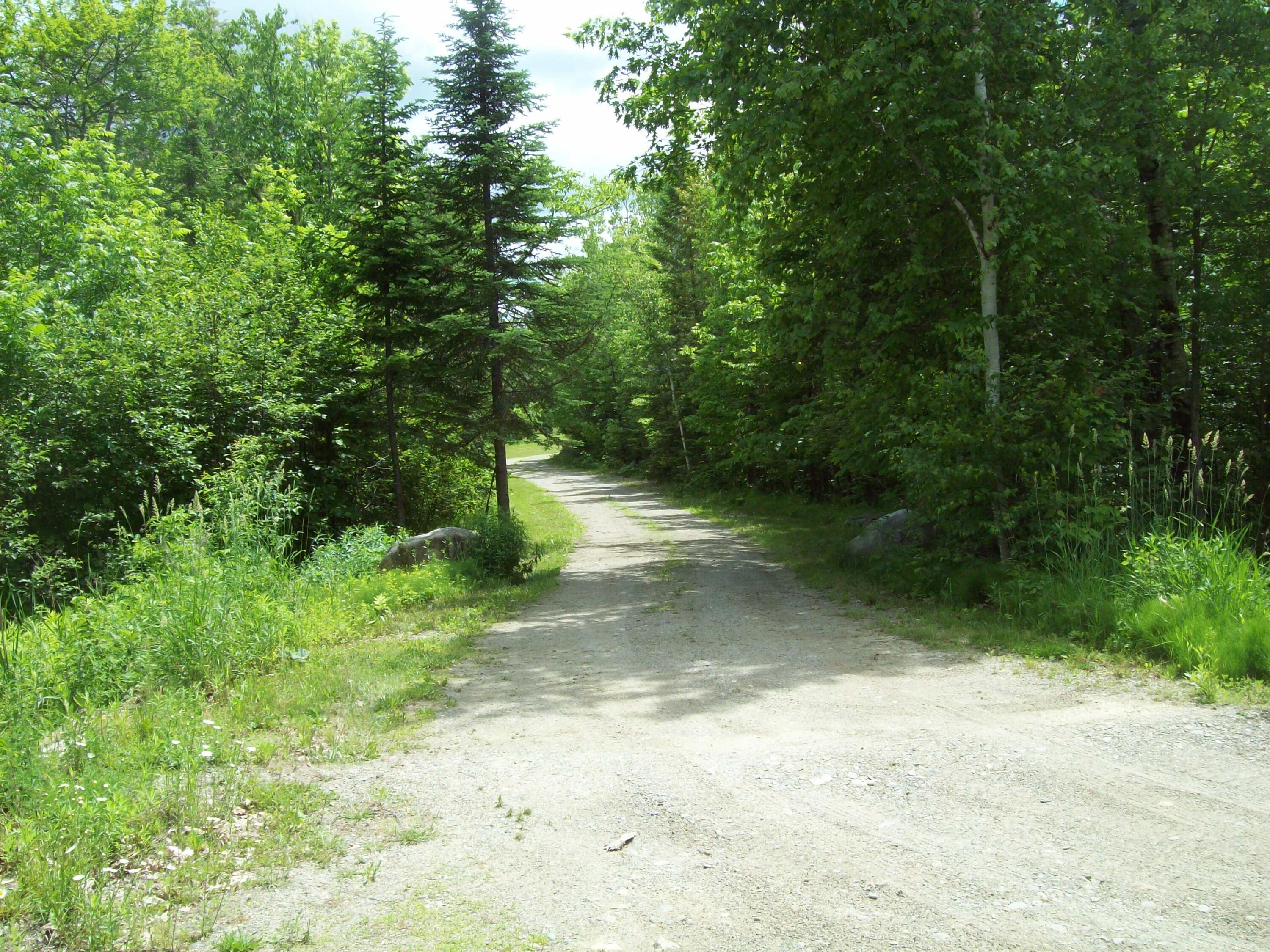 11 Military Road Winn, ME 04495 - Photo 5 of 36 100_2811