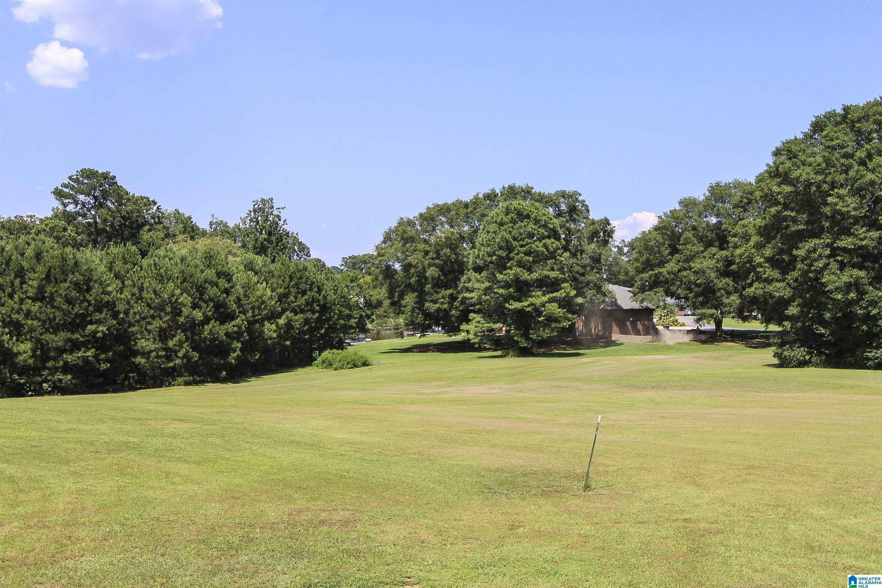 435 Treasure Island Road Cropwell, AL 35054 - Photo 78 of 78