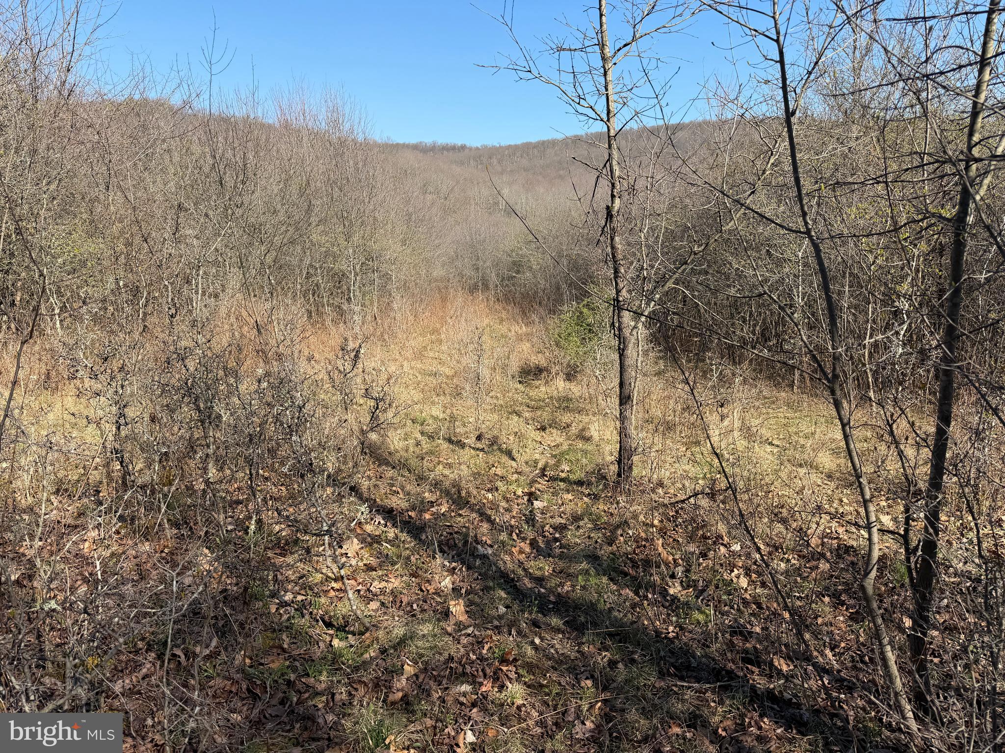 129-acres Black Hollow Road Schellsburg, PA 15559 - Photo 63 of 72 a view of a dry yard