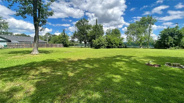a view of a big yard with a large trees