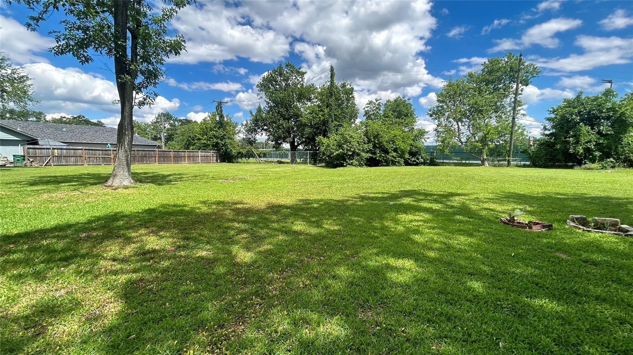 a view of a big yard with a large trees