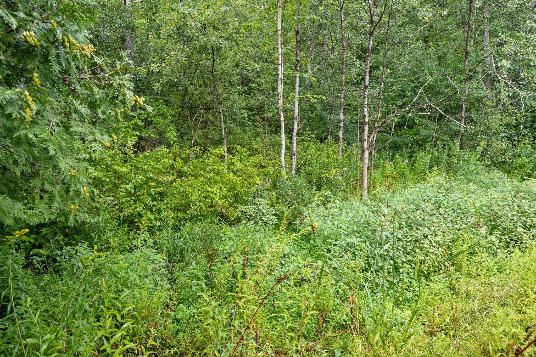 60 West Street Proctor, VT 05765 - Photo 28 of 37