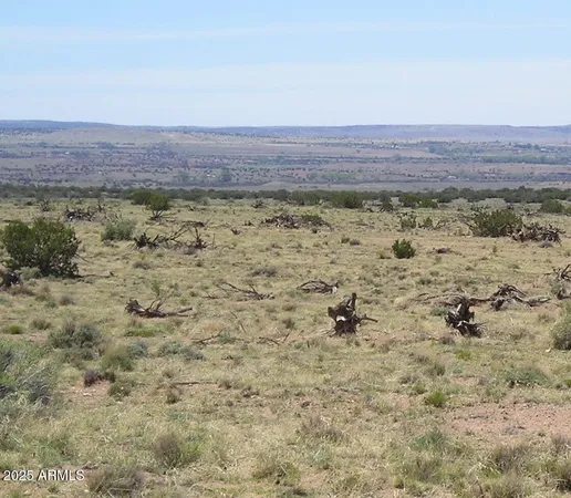 a view of snow on the road