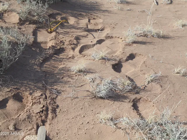 $85,000 | 150 North County Road, St. Johns, AZ 85936