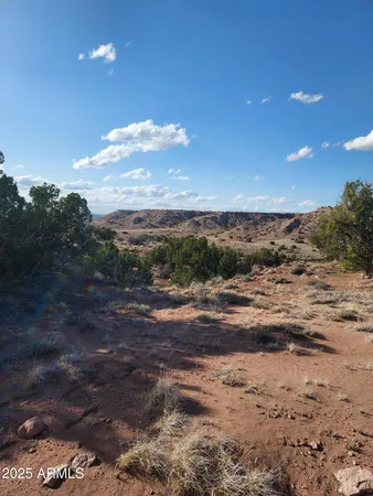 a view of a dry yard with mountains in the background