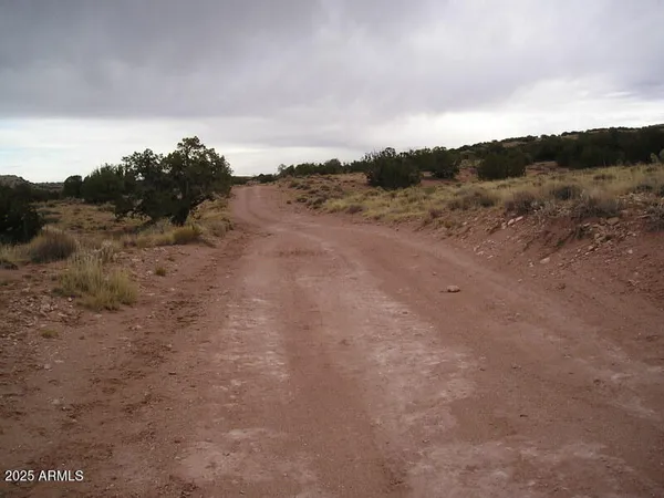a view of a beach with a mountain