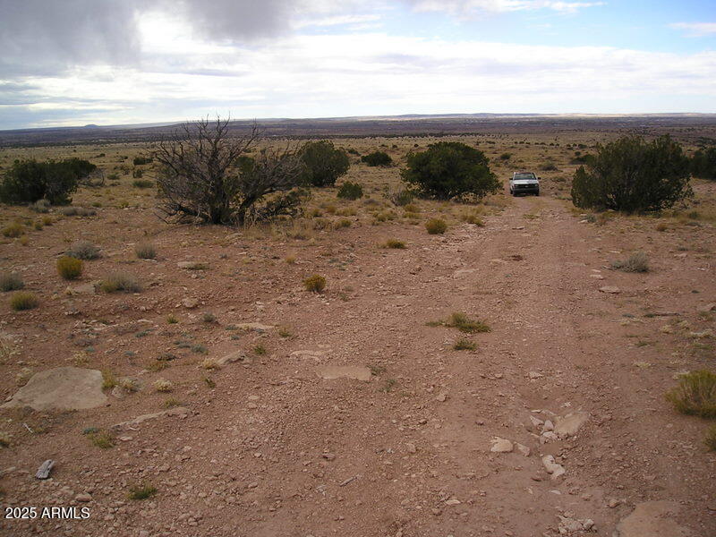 150 North County Road St. Johns, AZ 85936 - Photo 9 of 10 top of South end looking north