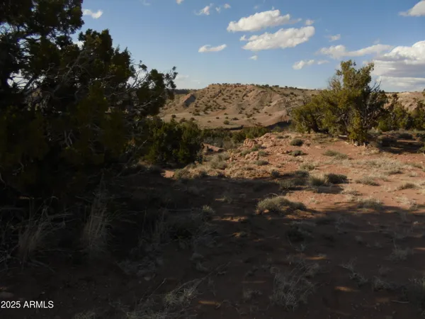 $85,000 | 150 North County Road, St. Johns, AZ 85936