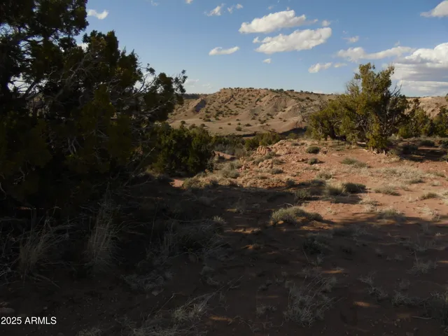 $85,000 | 150 North County Road, St. Johns, AZ 85936